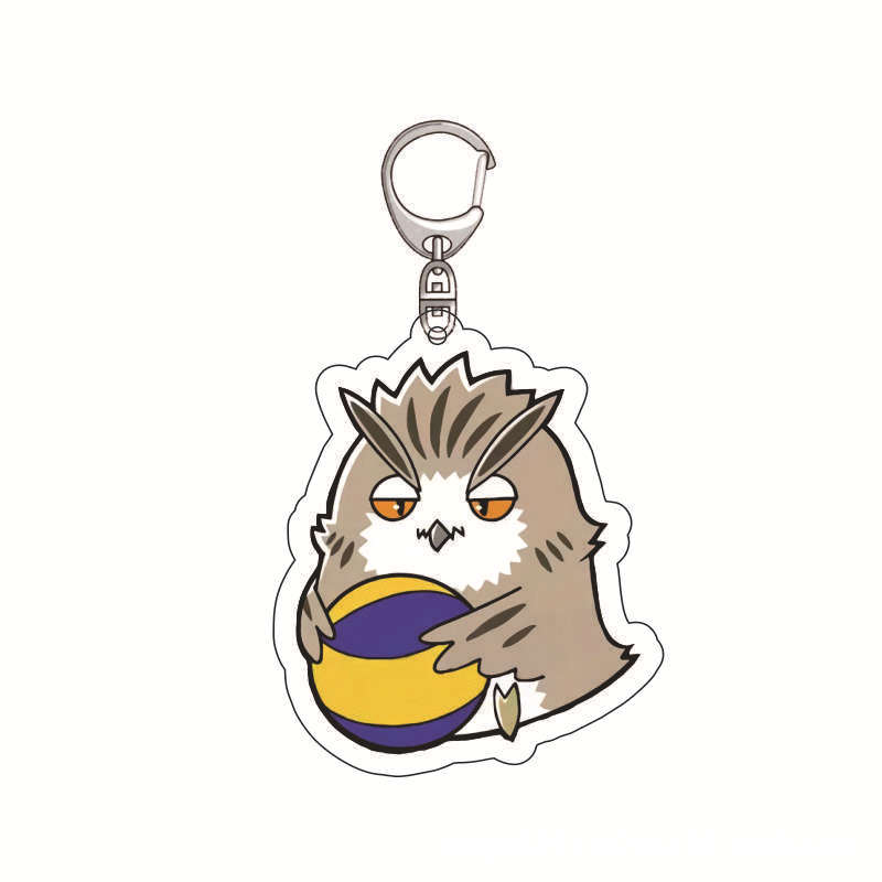 سلسلة مفاتيح أنمي هايكيو، تعلي - مراجعة Anime Merchandise Keychain وسعره